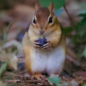 Meet your Posher, Gautam